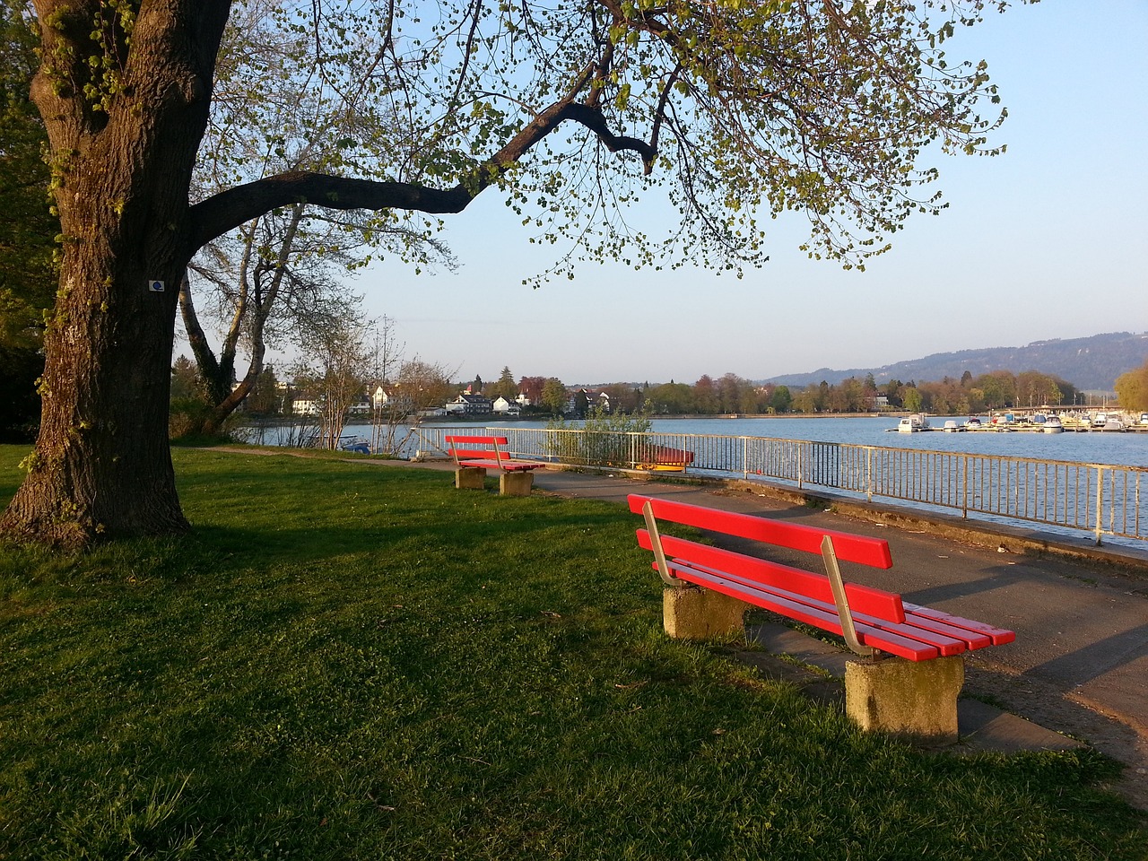 总的来说 总的来说