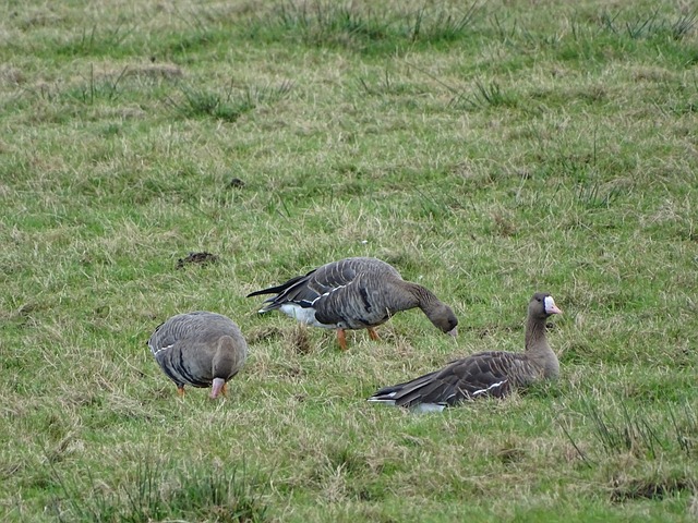 好的基础 好的基础