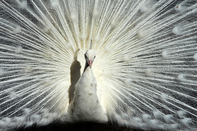 並在經濟